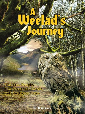 cover image of A Weelad's Journey